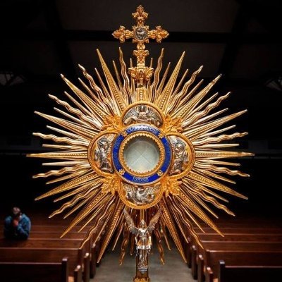 Somos Peregrinos por el camino de la FE de Jesucristo y en la única Iglesia verdadera y fundada por Jesucristo. #Jesucristo #Yawheh #Dios #Evangelio #Vaticano