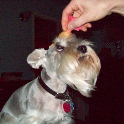 baldguyinit's profile picture. Nobody of any consequence