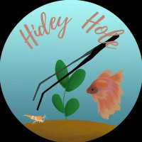 Hidey Hole(@HideyHole2020) 's Twitter Profile Photo
