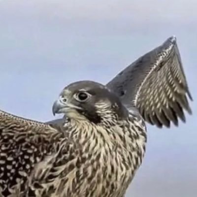 معلمه كيمياء ،مهتمه بتطور التعليم والتربيه الأسلاميه ،اللهم اجعل لي نورآ اينما ذهبت 🕊