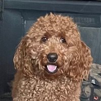 AB77777777 (@abloveselohim) 's Twitter Profile