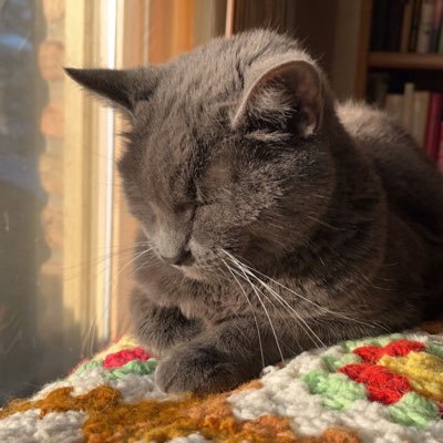 LilyWalthery's profile picture. she/her