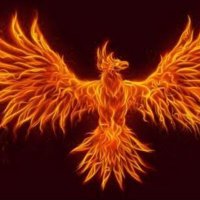 THEREALPHOENIX(@REALPHOENIX010) 's Twitter Profile Photo