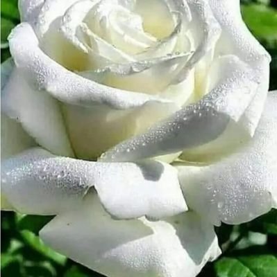 FatimaS75135423's profile picture. 