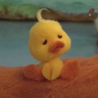 ✨duckie✨ (@boobearskyyy) 's Twitter Profile