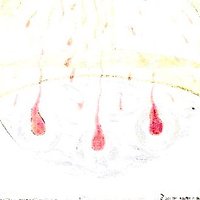 ,ø¤º°`°º¤ø,¸¸,ø¤º° (@altovvoltaje) 's Twitter Profile