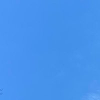 あむ (@z_6ham) 's Twitter Profile