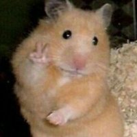 diego (@dthvlr) 's Twitter Profile