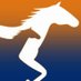 TBV (@vicbreeders) Twitter profile photo TBV (@vicbreeders) Twitter profile photo