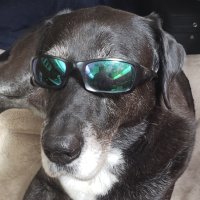 Unca (@conwayskarma) 's Twitter Profile
