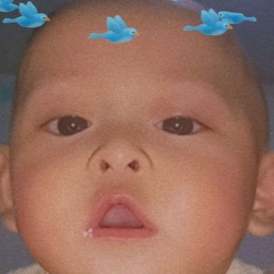 surikusumaa's profile picture. gaada apa2 disini