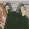 khaulazau's profile picture. 