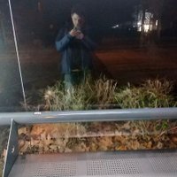 bastien baranoff (@bastienbaranoff) 's Twitter Profile Photo bastien baranoff (@bastienbaranoff) 's Twitter Profile Photo
