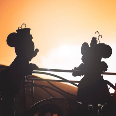 hnxtrw's profile picture. 