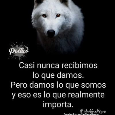 AnnieLeviuqse's profile picture. 🤪🤗