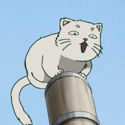 Seasoning City’s resonant cat on an Electric Pole || mrrp meeeowww rrrr mmmrrrrp || mrrwwwwoooow || (acc run by @floppa_whoppa)