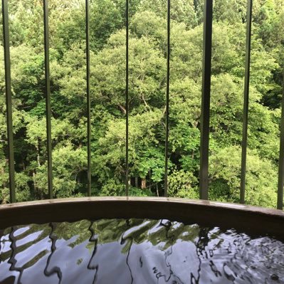 pecopecousa's profile picture. 