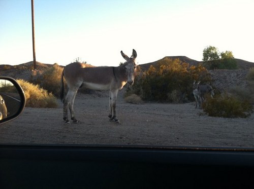 edddie1337's profile picture. 