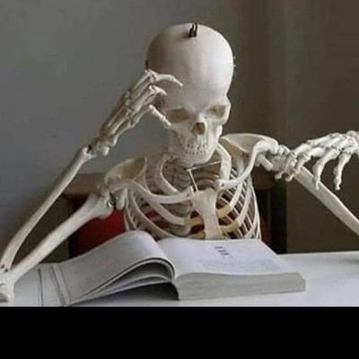 zaman91898474's profile picture. 