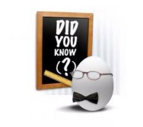 nowthatsfactual's profile picture. Facts for your enjoyment