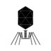 The Phage (@the_phage_xyz) Twitter profile photo The Phage (@the_phage_xyz) Twitter profile photo