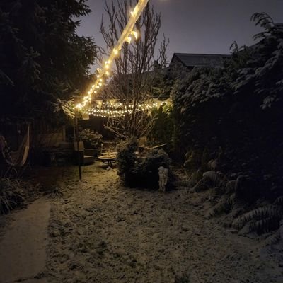 Adam37798's profile picture. 