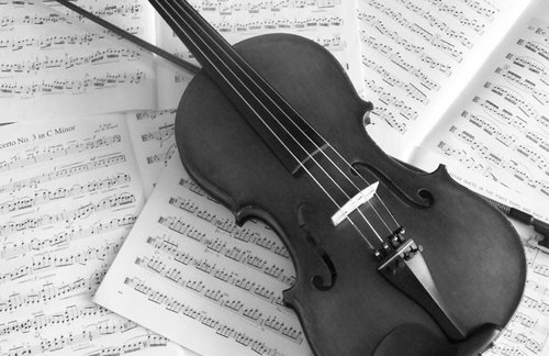 emilydiane4174's profile picture. Orchestra! Cats! Videogames! I am a simple nerd.