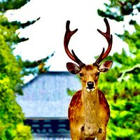 Gilber (@jpwb100) 's Twitter Profile