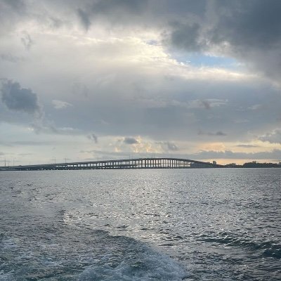 SaeedNaeem19's profile picture. 