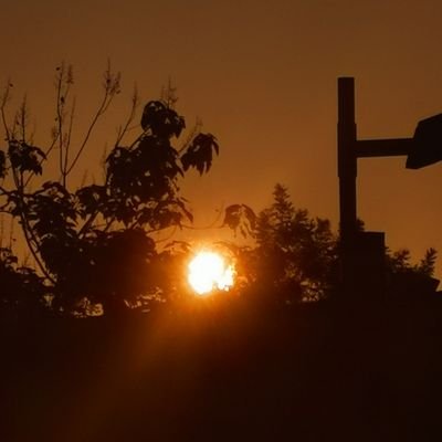 yixuan1980's profile picture. 