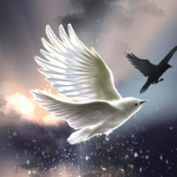 🌳🕊🗝 (@sou_note) 's Twitter Profile Photo 🌳🕊🗝 (@sou_note) 's Twitter Profile Photo