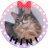 maru_MINI_1126