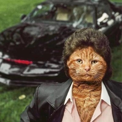 Jule_bel's profile picture. 