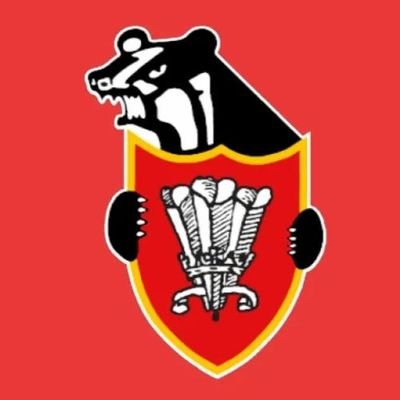 The official twitter account of Pontyclun RFC. A community club established in 1887, providing an opportunity for all to enjoy sports. #YNBTB