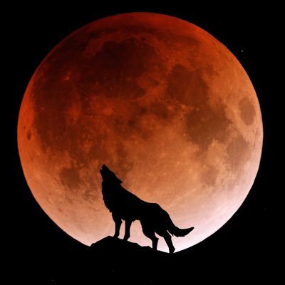 tokito_kenshin's profile picture. 