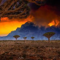 Khalil Alahmadi (@kaleel7788) 's Twitter Profile