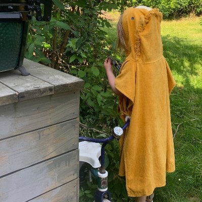 cmollenhoff's profile picture. Senior Researcher at quant prop trading firm.