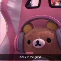 Rice (@riceblol) 's Twitter Profile