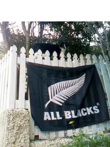 michaelsname's profile picture. 