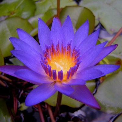 Limp_FX's profile picture. 何も分からずに仮想通貨ICOとBTC投資でやらかして、相場から取り返すと決めてからFX5年が経過…。
ほぼ全ての手法を試して結局基本的な手法に。
nori勉が2年経過してやっと爆発前夜の予感。
遅咲き過ぎですが頑張ります。