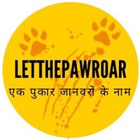 LetThePawRoar(@letthepawroar) 's Twitter Profile Photo