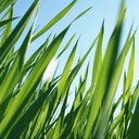 Brian shim - @green_hj - Twitter