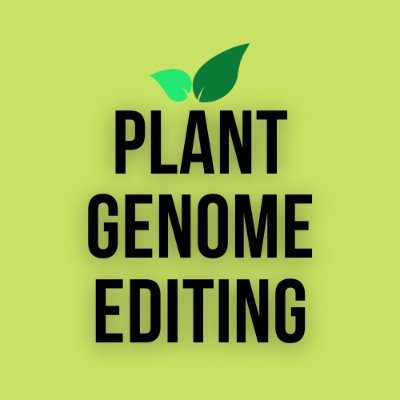 Disseminating knowledge in Plant Genome Editing
#Genome_engineering #CRISPR #PRIME_EDITING #BASE_EDITING #PLANTS