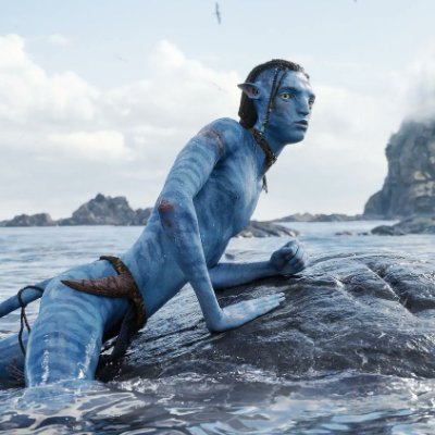 pivoineblanche4's profile picture. 