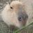 archeru's profile image