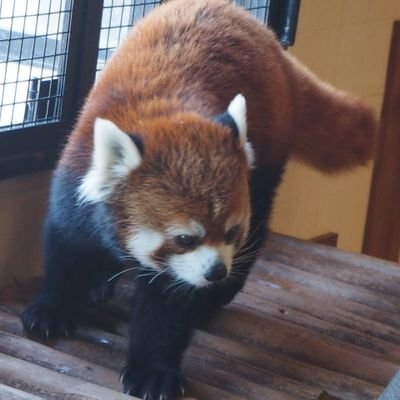 Achunatsu's profile picture. なせば大抵なんとかなる