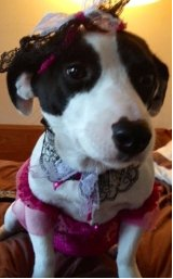 LACEY_Casey's profile picture. I have a nose for health matters and enjoy spreading awareness that can empower you to prevent cervical cancer.