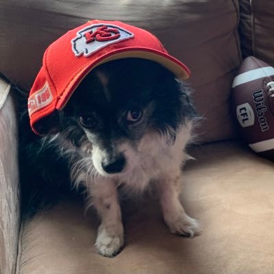 educated. dedicated. vaccinated. TheBoys:WallyandLeroy 🐶🐶 Chiefs Kingdom 🏈