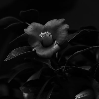 tsubakigoto's profile picture. 武蔵美 プロダクトデザイン 4年