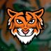 Seury_Gaming 🎙🐅 (@SeuryGaming) Twitter profile photo